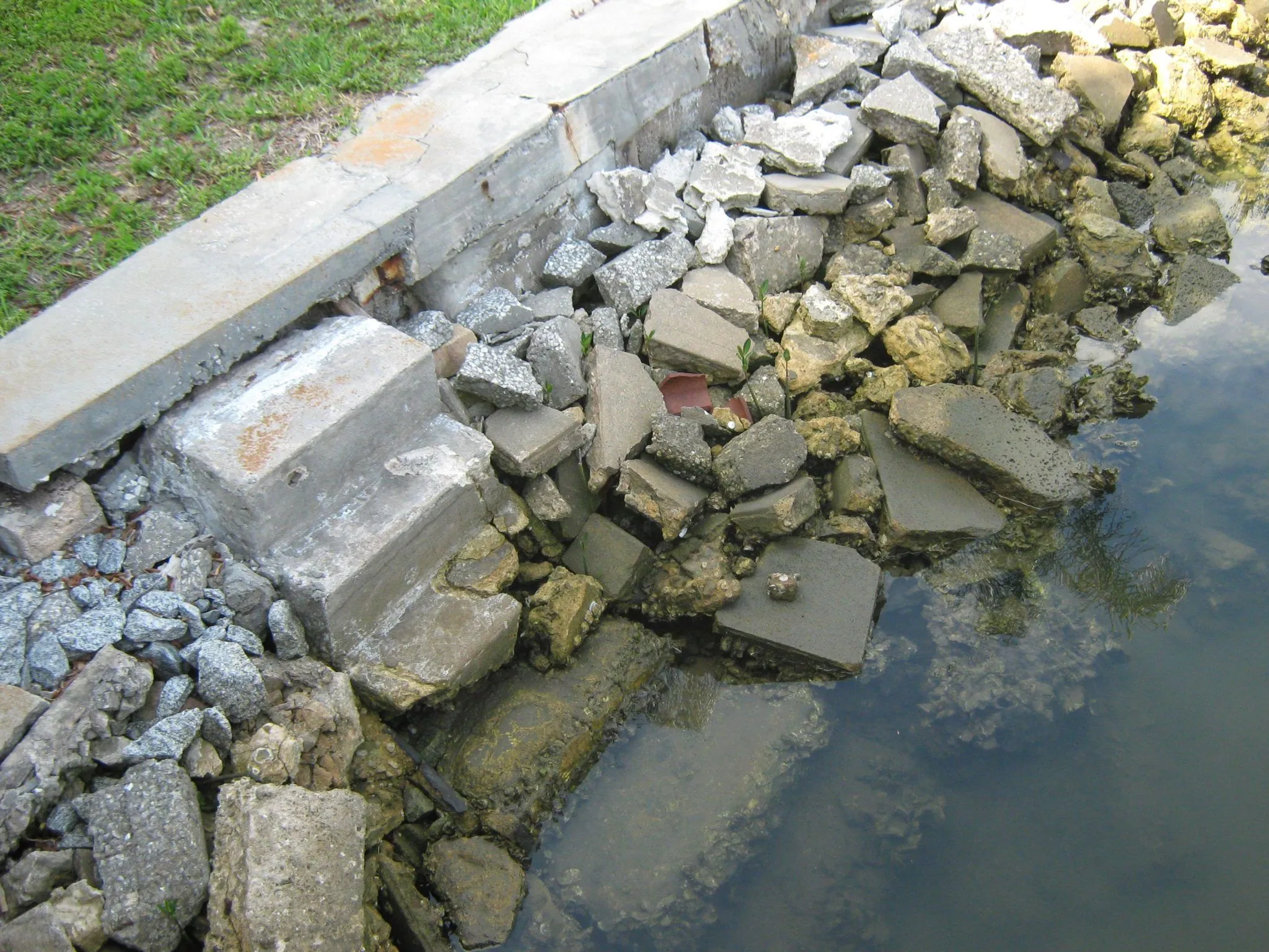 Seawall Repair Professionals in Arcadia