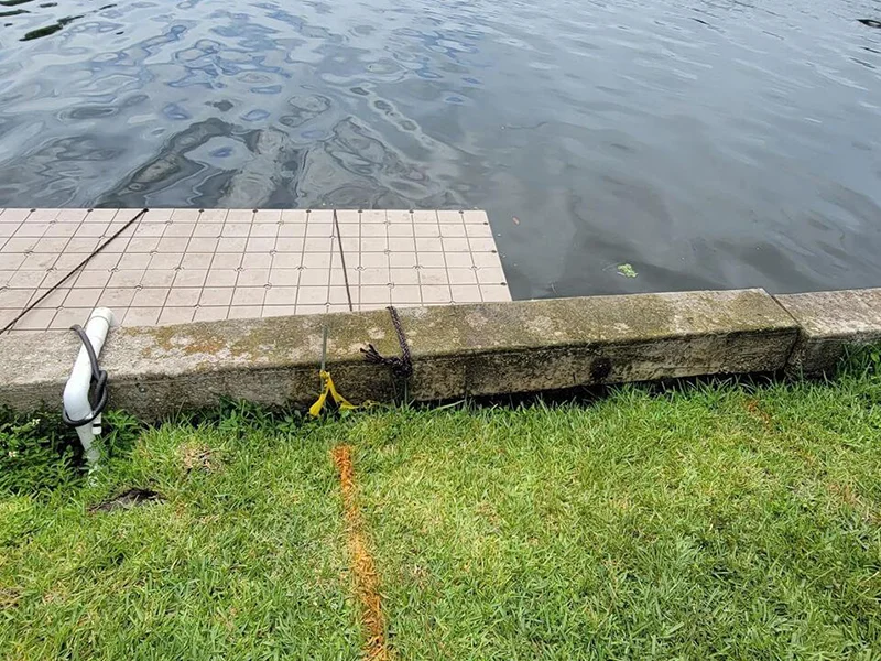 Seawall Repair Professionals in Arcadia