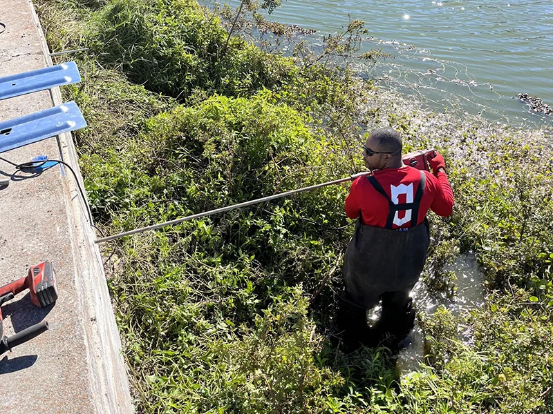 Seawall Repair Professionals in Arcadia
