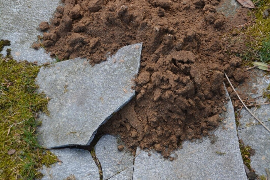 Soil Stabilization Services in Arcadia